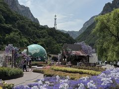 -云台山风景名胜区