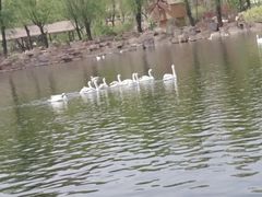 -石家庄市动物园