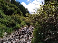 -苏木山森林公园