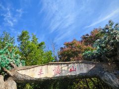 -王顺山国家森林公园