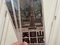 -天目山大树王景区