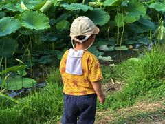 -白鹭湾湿地公园