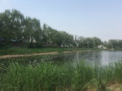 -亲兄弟真人CS团建拓展基地