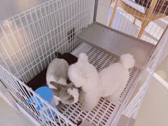 -小意思咖啡店(草桥店)