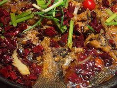 -老板恋上鱼(恒隆广场店)