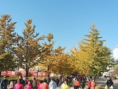 -辽东学院(南校区)