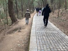 -头陀岭景区