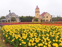 -三圣花乡旅游区