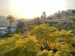 -炭舍干锅·烤鱼(扬名广场店)