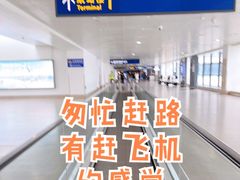 -浦东1号2号航站楼(地铁站)