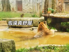-黔灵山公园