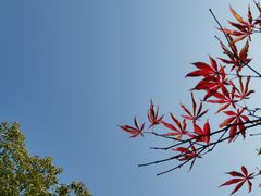 -侵华日军南京大屠杀遇难同胞纪念馆