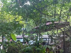 -凤来栖·净庭院·火锅(欧尚店)