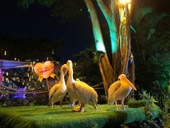 -广州长隆国际大马戏