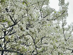 -石室禅院