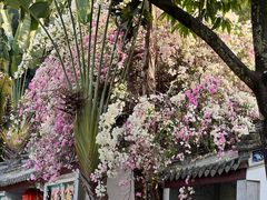 -深圳国际园林花卉博览园