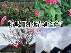 -亚龙湾国际玫瑰谷