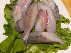 -金砂阿洲鱼册店