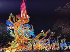 -厦门园林博览苑