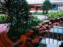 -香港大学