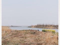 -春花秋色城市公园