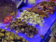 -长沙三景韦尔斯利酒店·Oval全日制餐厅自助餐