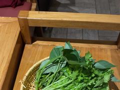 -巴奴毛肚火锅(九洲店)