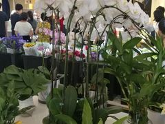 -茶马花街(城西银泰城店)