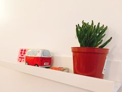 -阿狗圆子