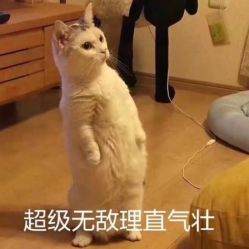 -可可丽舍