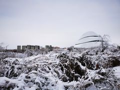 -哈尔滨大剧院