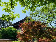 -龙华寺