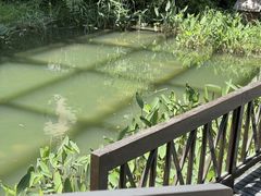 -活水公园