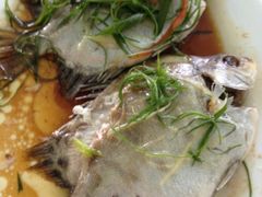 iphone_upload_pic-湿地轩