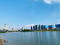 -金沙湖公园