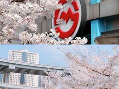 -上海辰山植物园