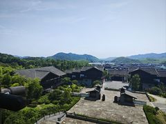 -大唐贡茶院