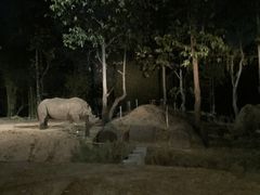 -清迈夜间动物园