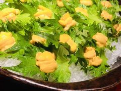 -初花·日本料理