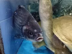 -徐记海鲜(陕西历史博物馆|明德门店)