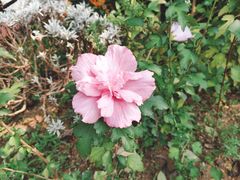 -广州神农草堂中医药博物馆