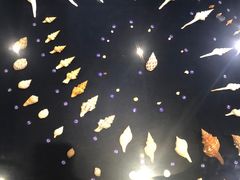 -青岛贝壳博物馆