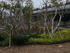 -宝安西湾红树林湿地公园