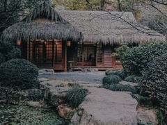 -中国茶叶博物馆(双峰馆区)