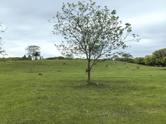 -良渚古城遗址公园