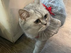 -小时光咖啡馆(北锣鼓巷店)