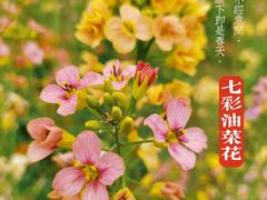 -沣峪口