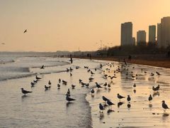 -老虎石海上公园