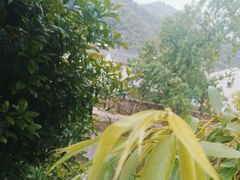-鹿亭中村
