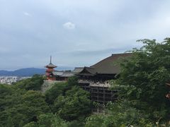 -有栖山 清光院 清水寺
